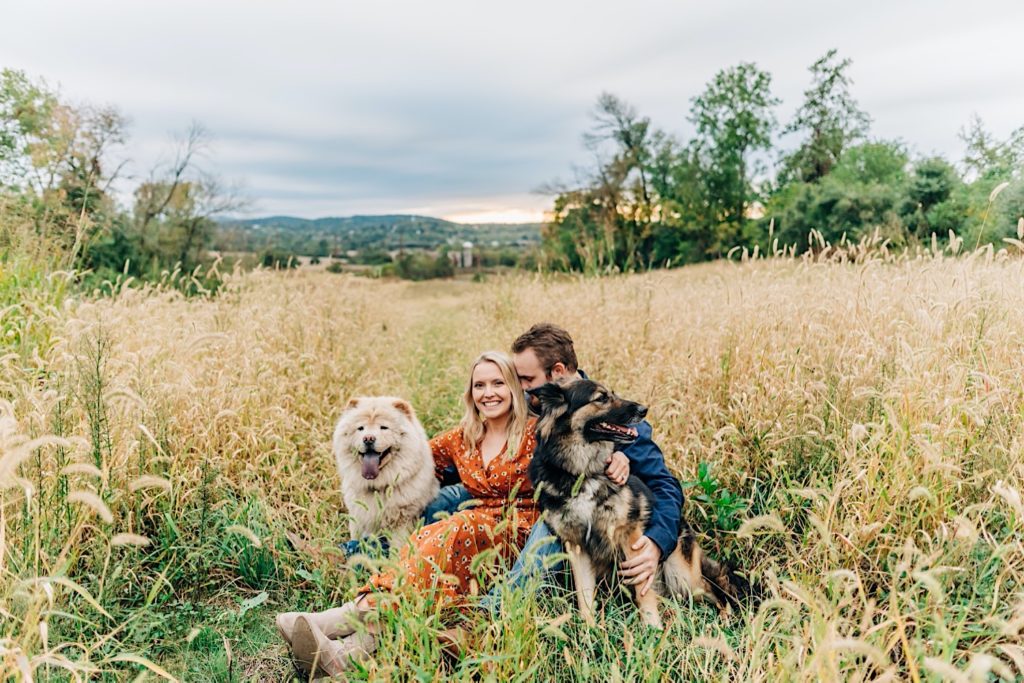 couple posing with their dogs in a wheat field in Virginia