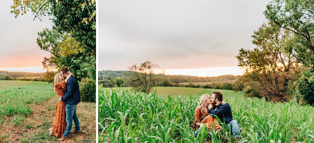 couple snuggling in a corn field at sunset