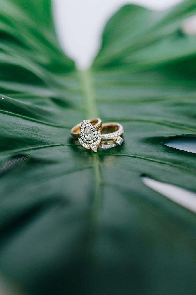 two engagment rings on leaf