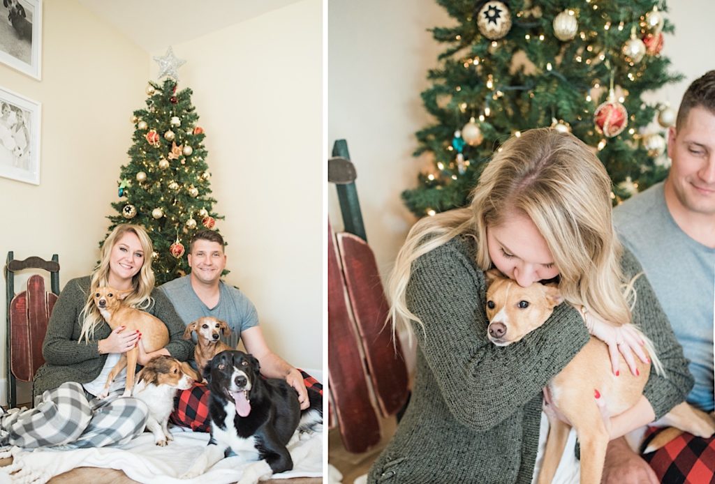 a couple and their dogs by the christmas tree