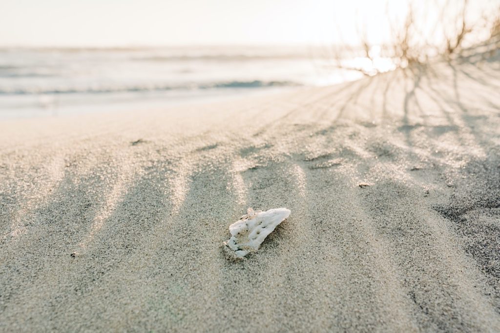 OBX Engagement portraits - engagement ring on shell next to the beach