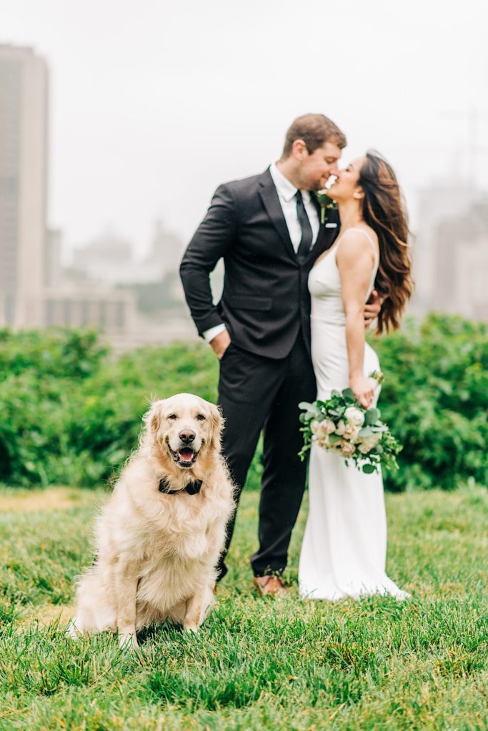 bride and groom with dog at Bride and groom under umbrella Richmond Elopement