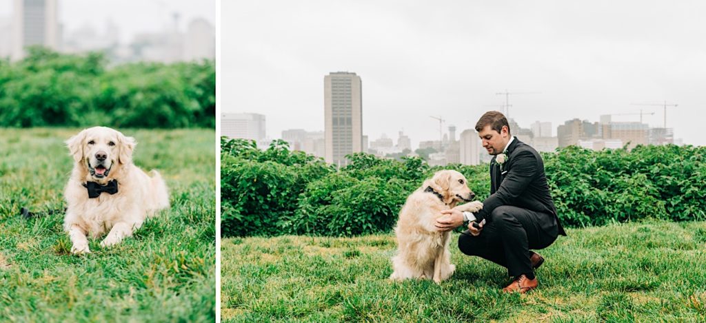 bride and groom with dog at Bride and groom under umbrella Richmond Elopement