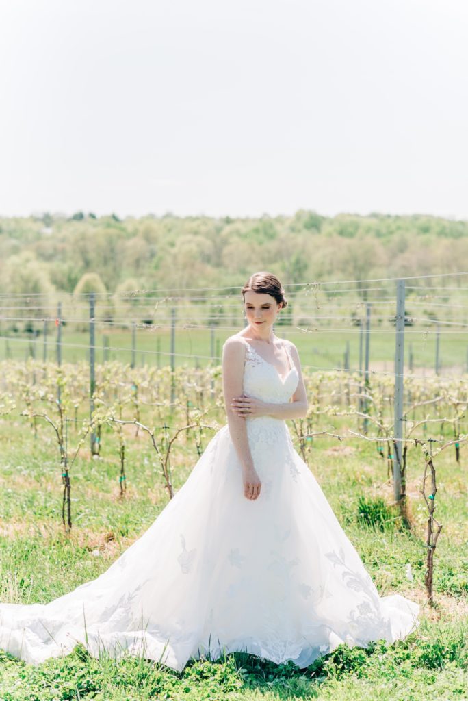 bride at windridge vineyards