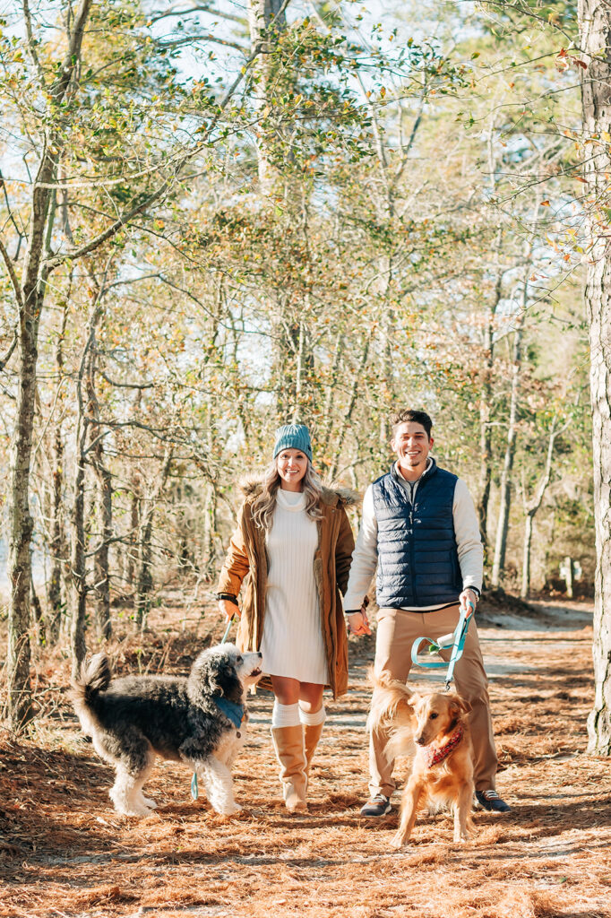 couple walking their dogs on the beach