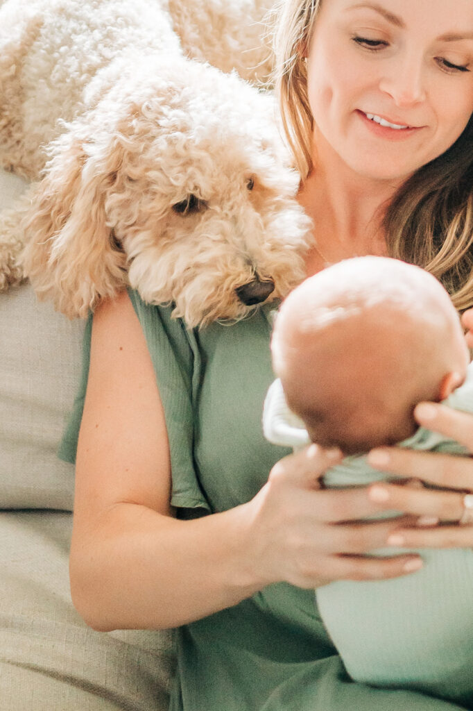 dog looks at baby