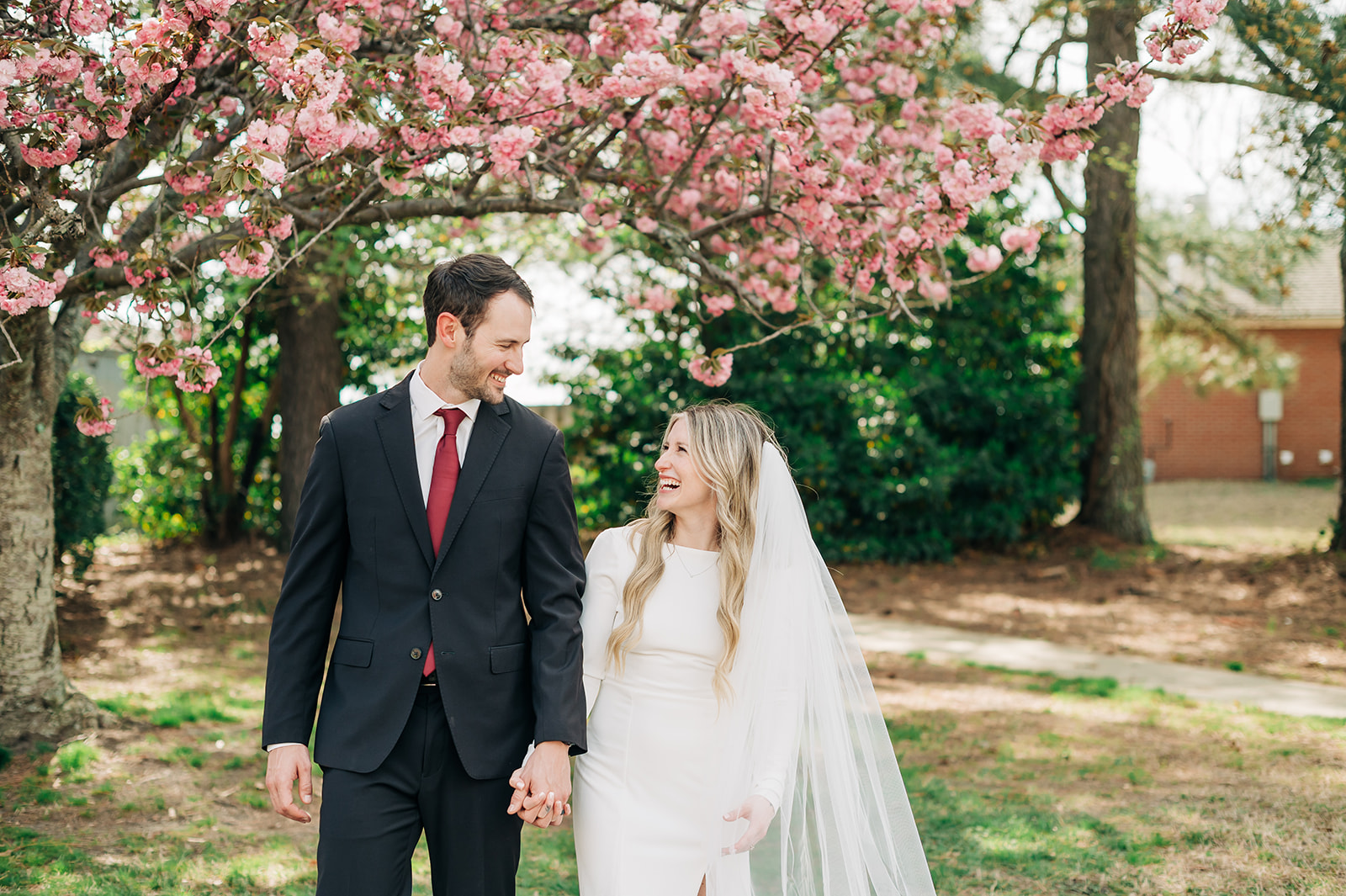 couple laughing under cherry blossom