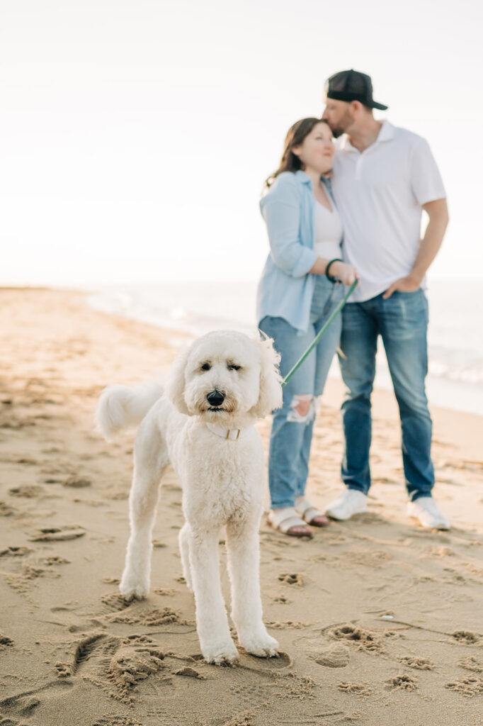dog poses in front of couple kissing