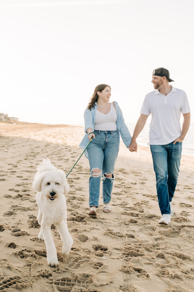 dog runs